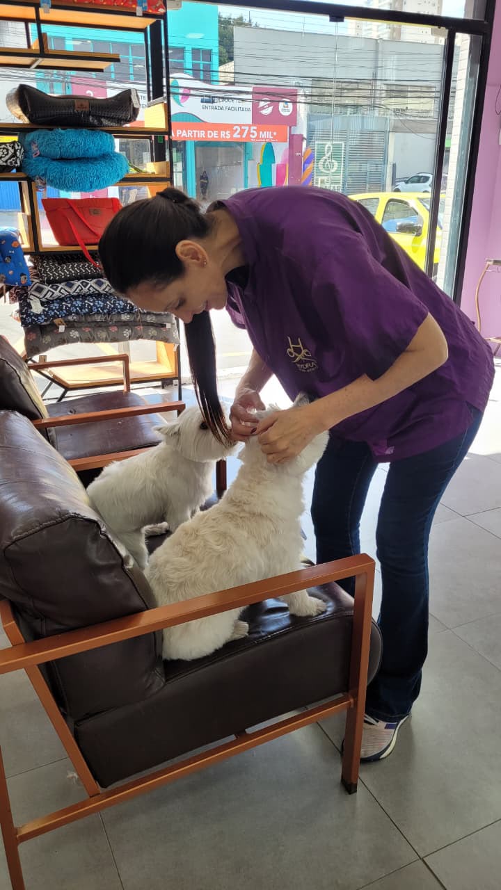 Profissional cuidando de dois cachorros