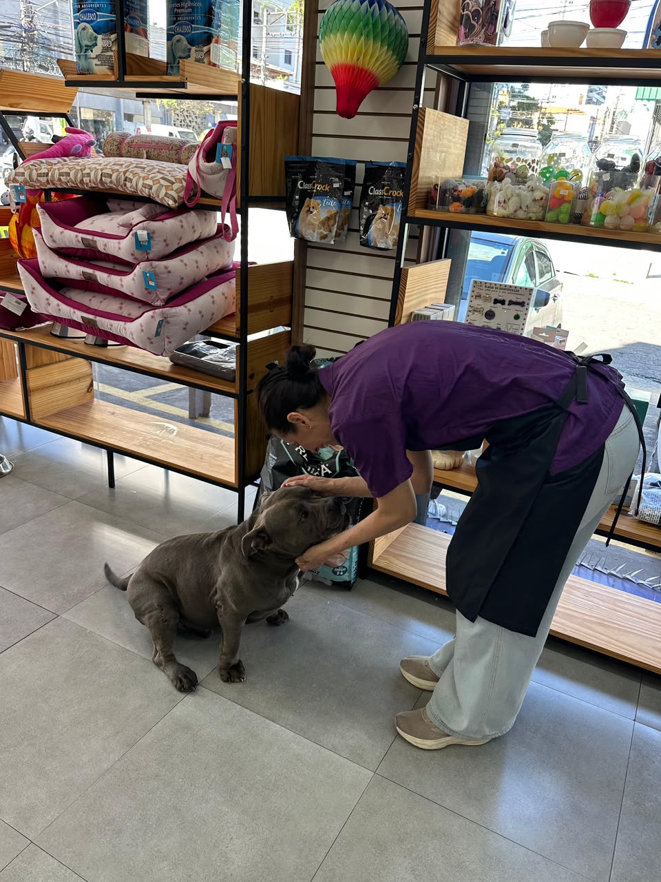 Profissional da LabellaPets fazendo carinho em um cachorro
